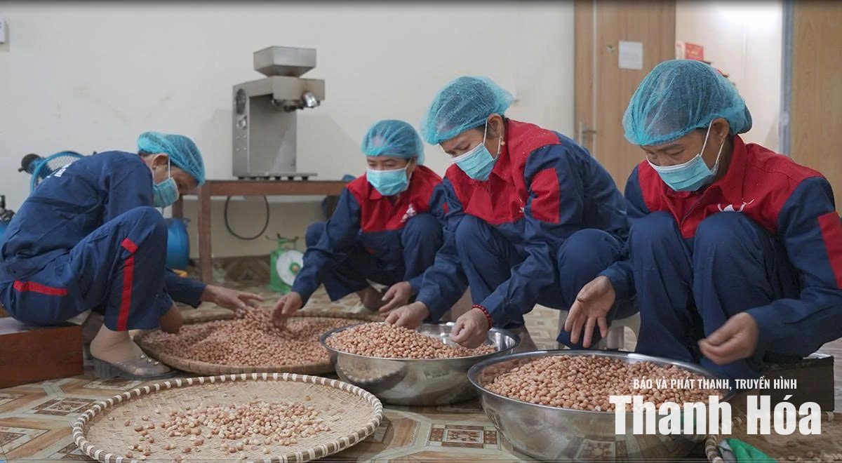 Phát triển sản phẩm OCOP&nbsp;theo chuỗi giá trị