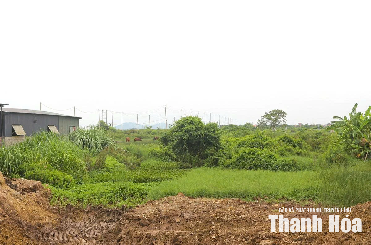 Nhận diện “điểm nghẽn” trong thực hiện giải phóng mặt bằng các dự án đầu tư công