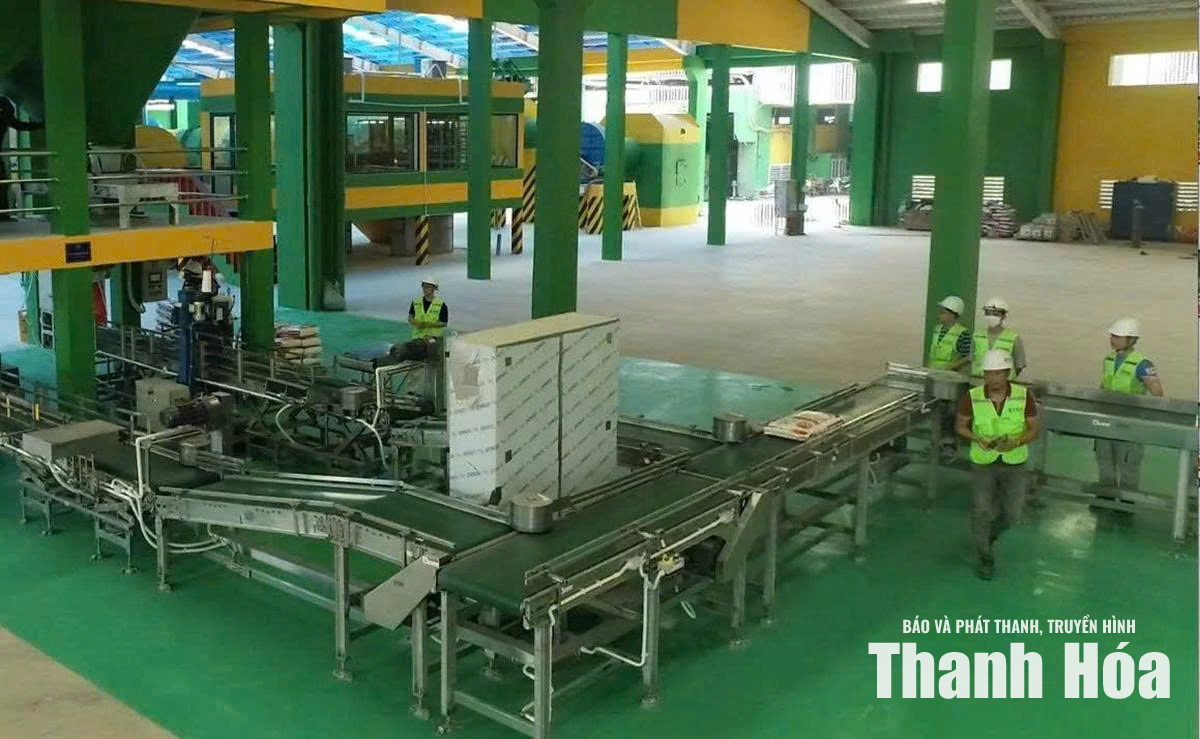 Quyết liệt các giải pháp, hoàn thành cao nhất nhiệm vụ thu ngân sách