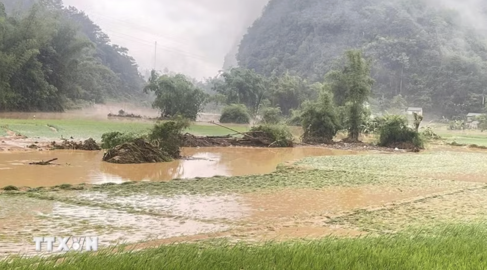Thời tiết ngày 29/7: Mưa dông diện rộng, nhiều nơi mưa to đến rất to