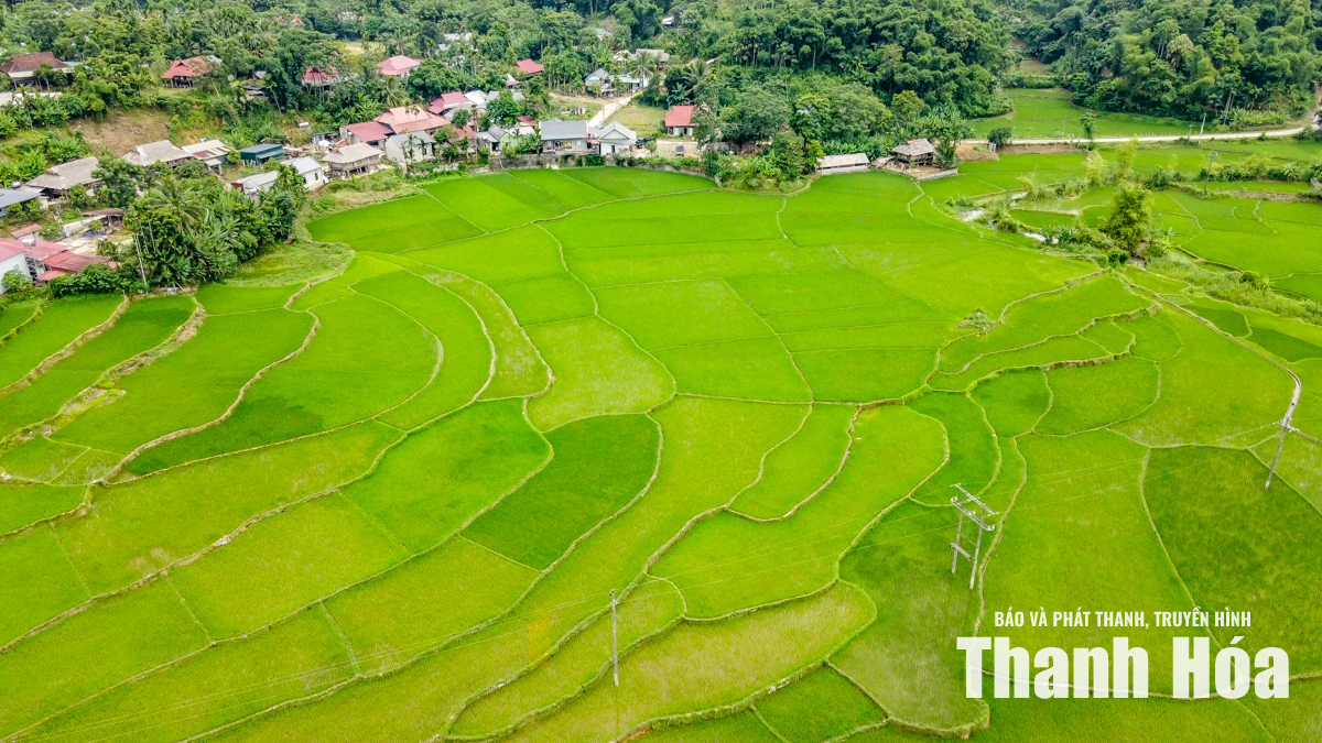 Đánh thức bản Chiềng Ngày bằng du lịch cộng đồng