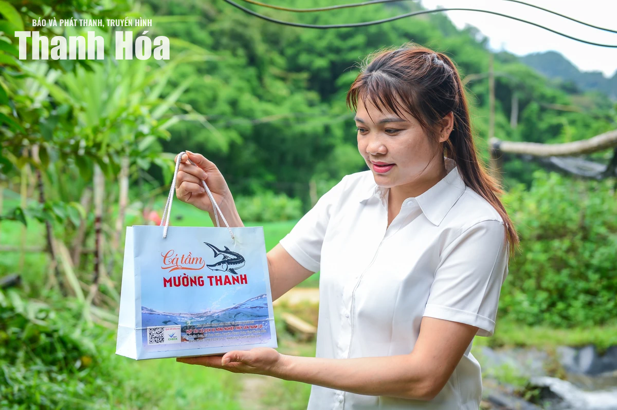 Từ dòng suối lạnh dựng xây thương hiệu cá tầm OCOP