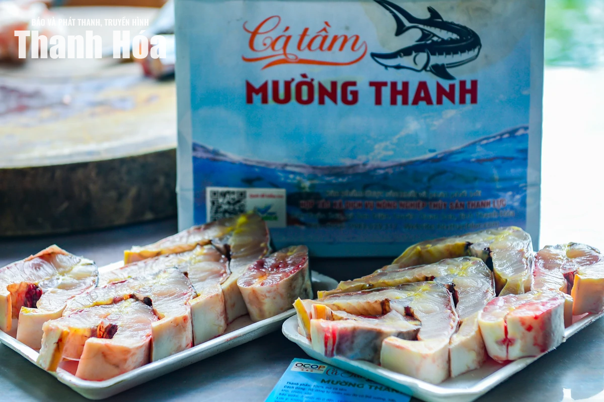 Từ dòng suối lạnh dựng xây thương hiệu cá tầm OCOP