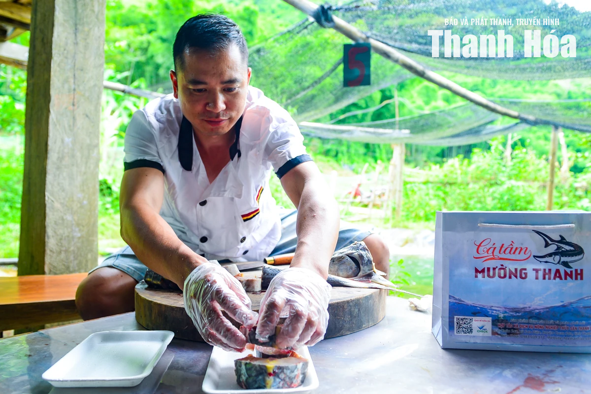 Từ dòng suối lạnh dựng xây thương hiệu cá tầm OCOP
