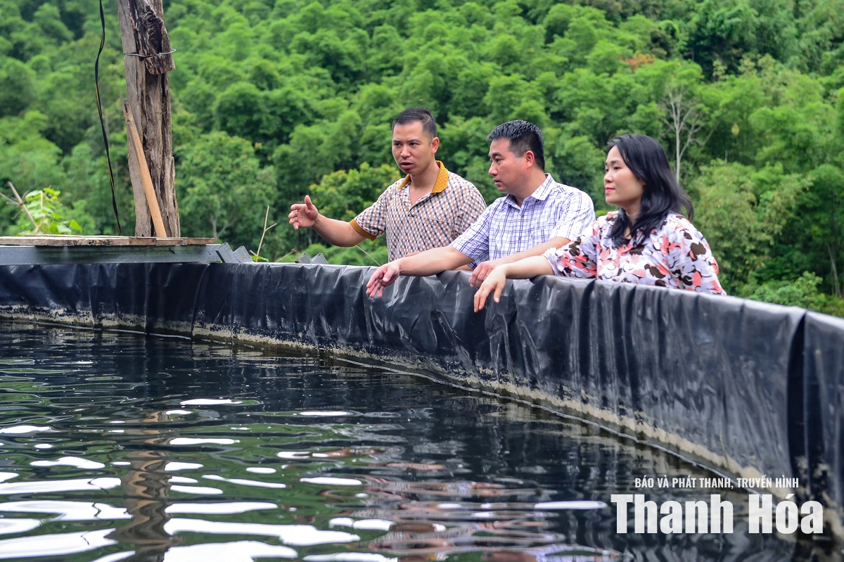 Từ dòng suối lạnh dựng xây thương hiệu cá tầm OCOP