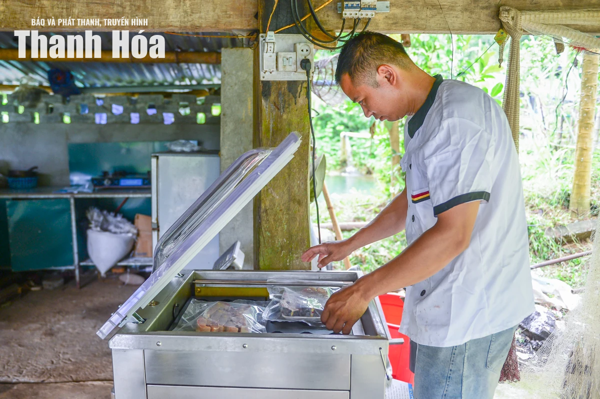Từ dòng suối lạnh dựng xây thương hiệu cá tầm OCOP