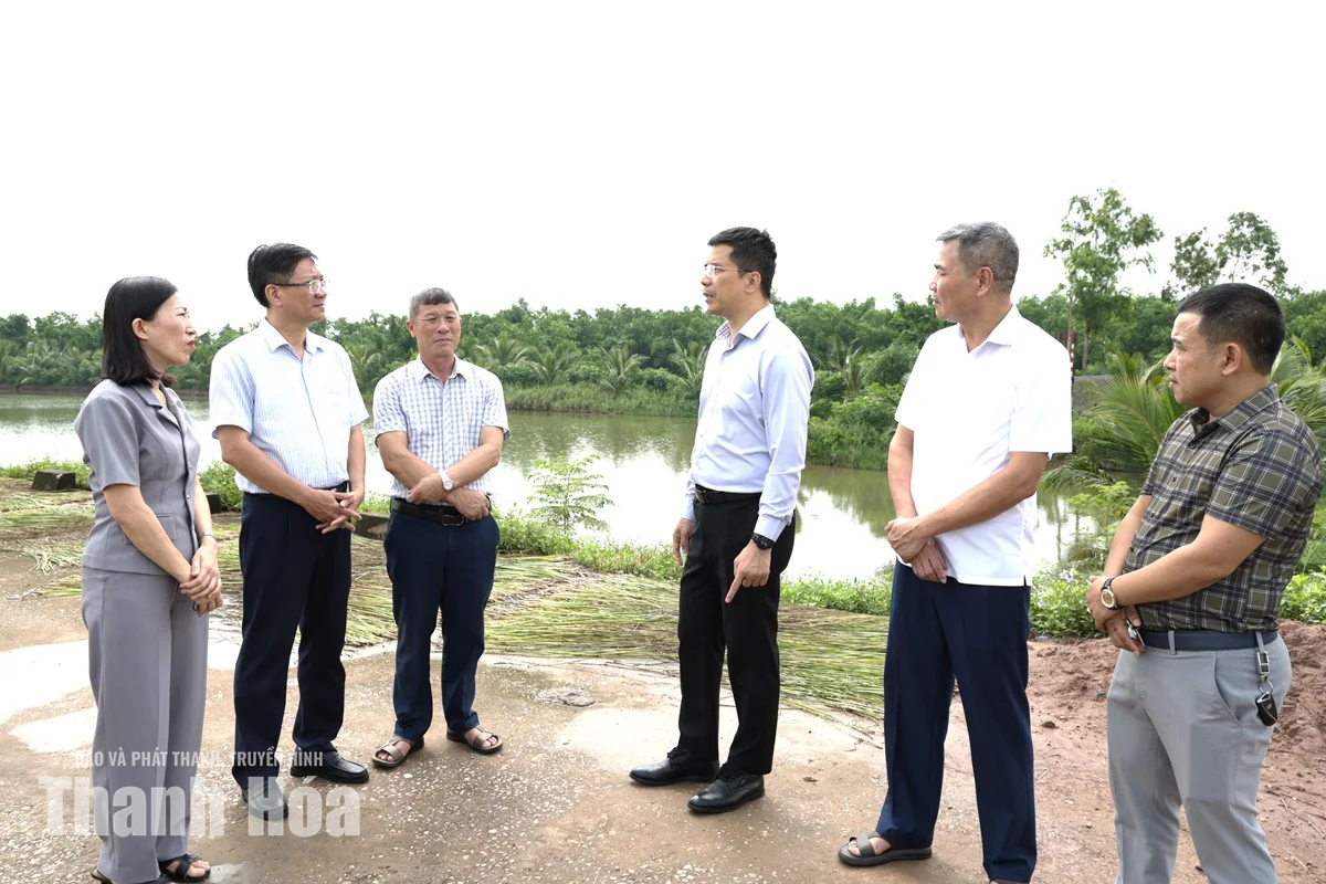 Chủ động tháo gỡ “điểm nghẽn”, tạo động lực để xã Tân Tiến phát triển