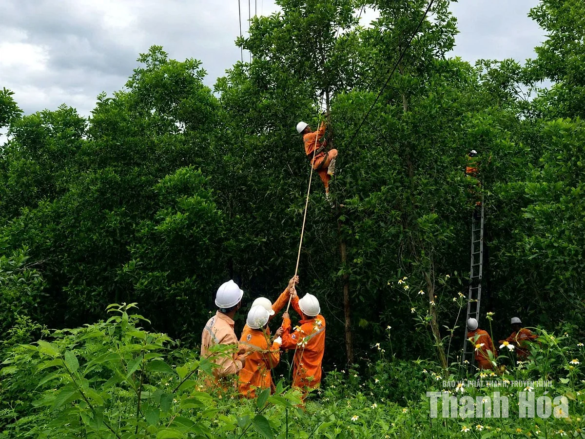 Chủ động ứng phó thiên tai, bảo đảm an toàn lưới điện và cuộc sống Nhân dân