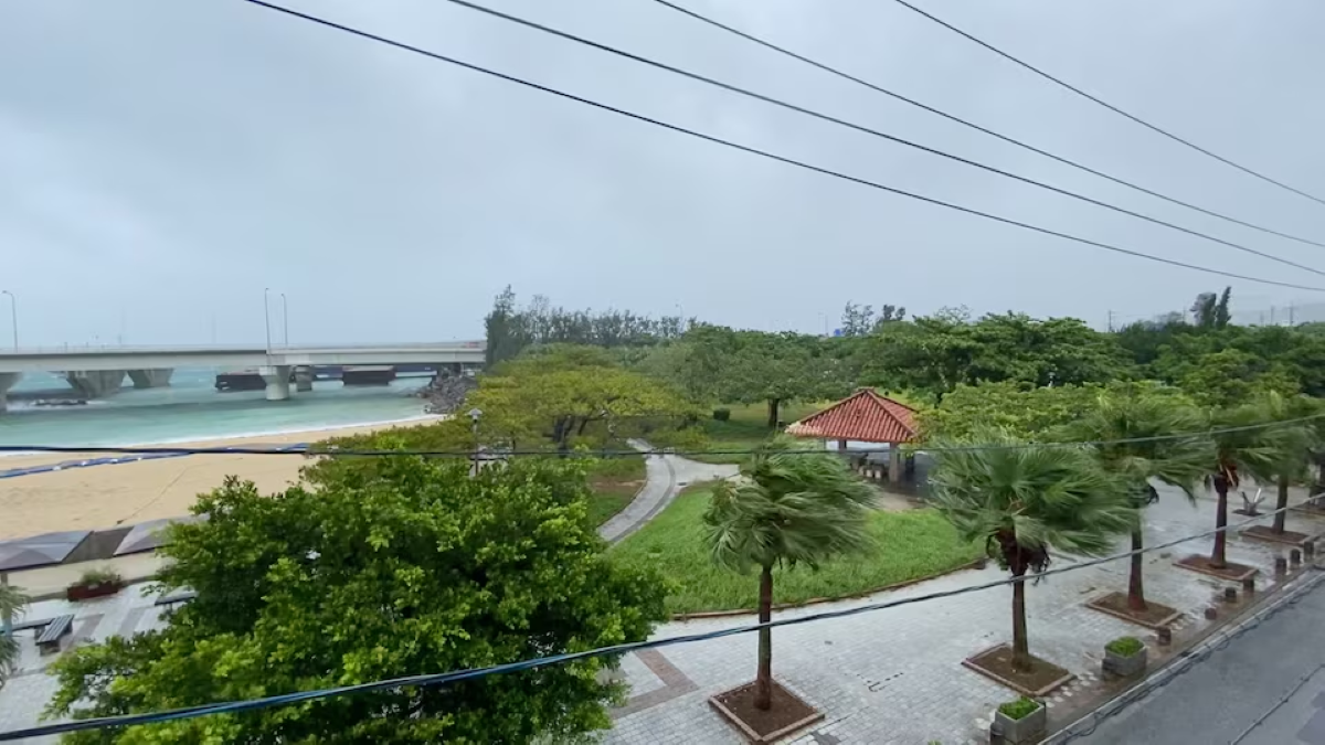 Trung Quốc khẩn trương ứng phó với bão Dolphin