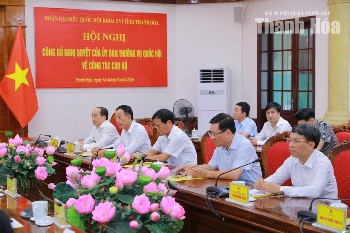 Công bố Nghị quyết của Ủy ban Thường vụ Quốc hội về công tác cán bộ