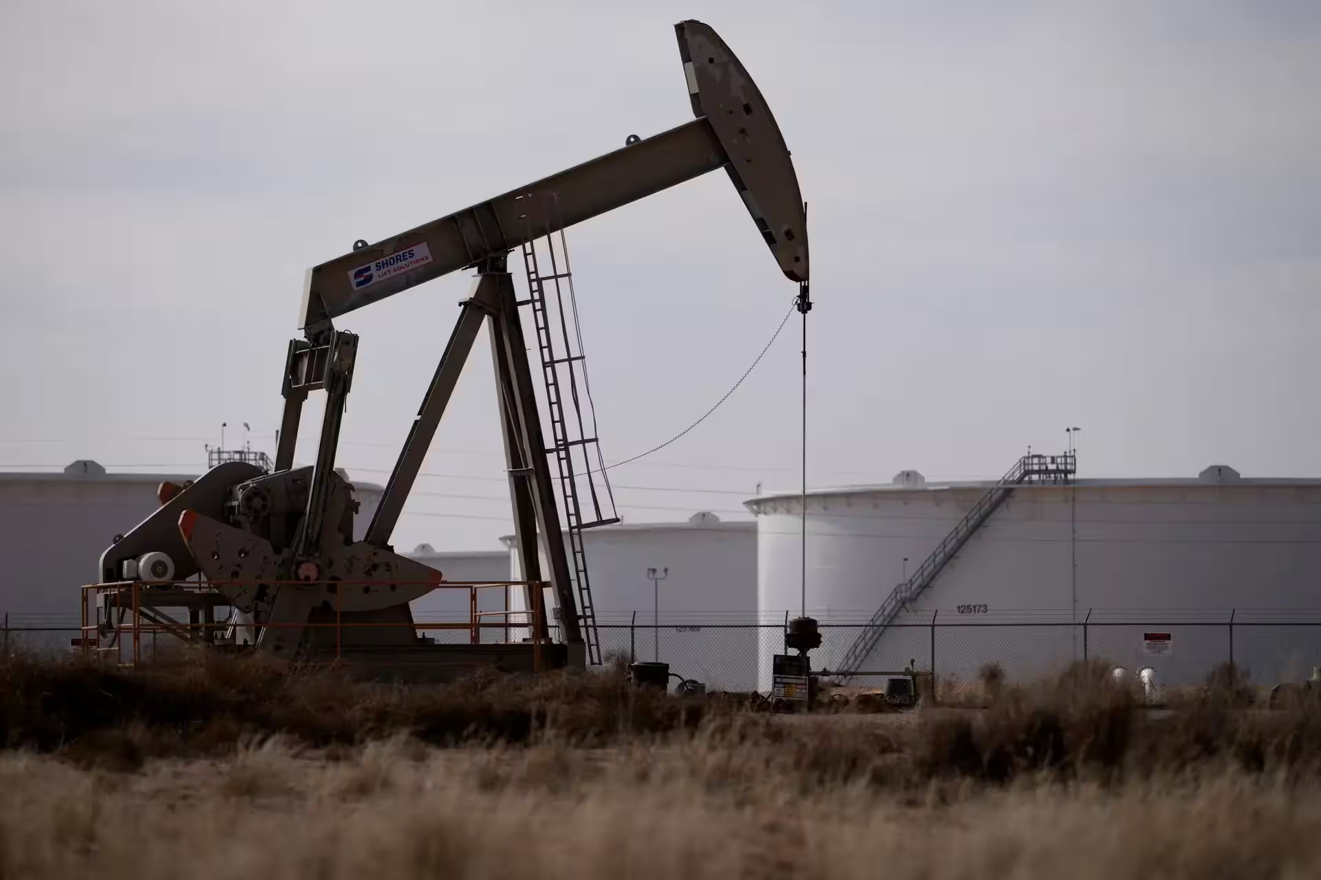 IEA và OPEC dự báo trái chiều về triển vọng nhu cầu dầu mỏ