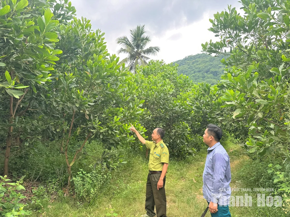 Lợi ích kép từ chi trả dịch vụ môi trường rừng