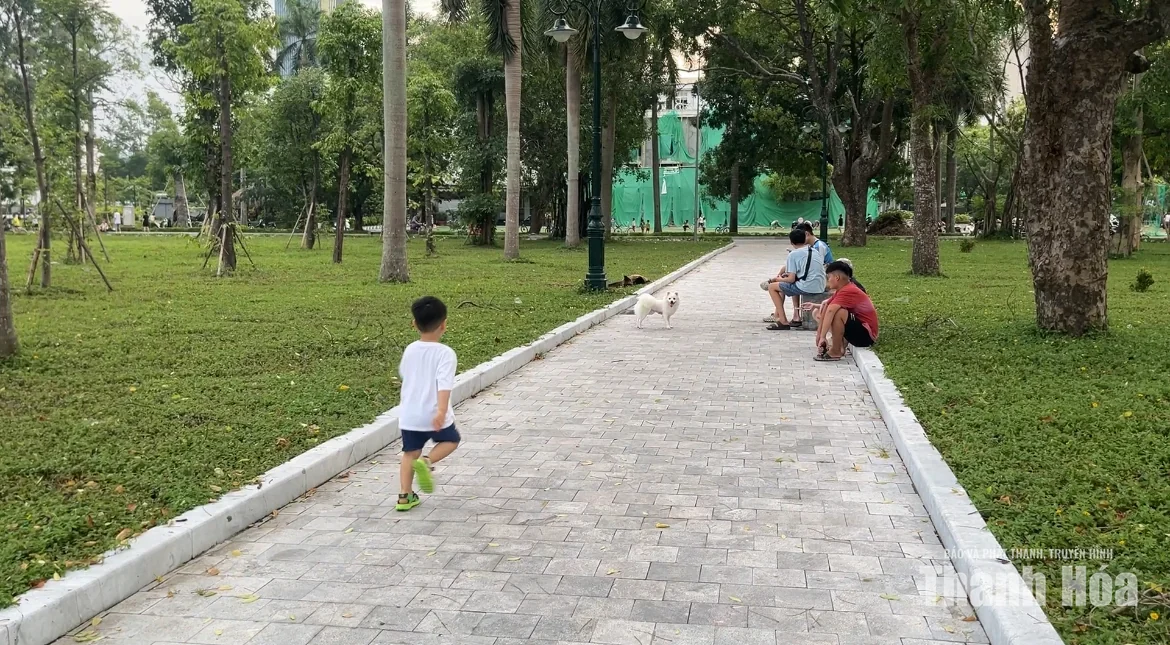 Chó thả rông không rọ mõm - tiềm ẩn nguy cơ mất an toàn