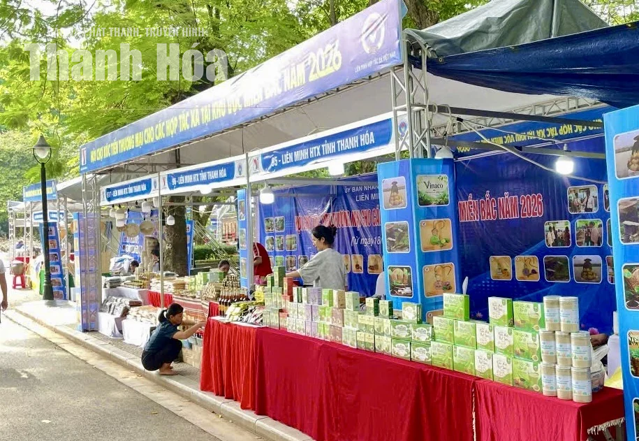 Thanh Hóa tham gia 5 gian hàng tại Hội chợ xúc tiến thương mại HTX khu vực miền Bắc