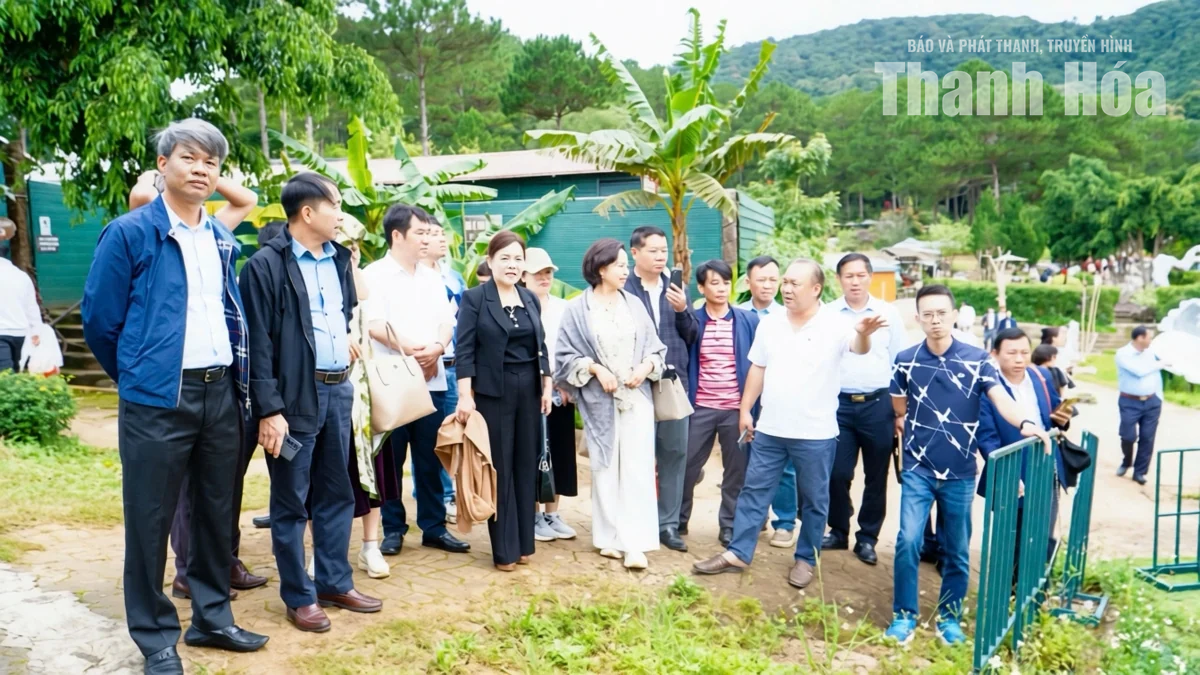 Doanh nghiệp Thanh Hóa - Lâm Đồng tăng cường liên kết
