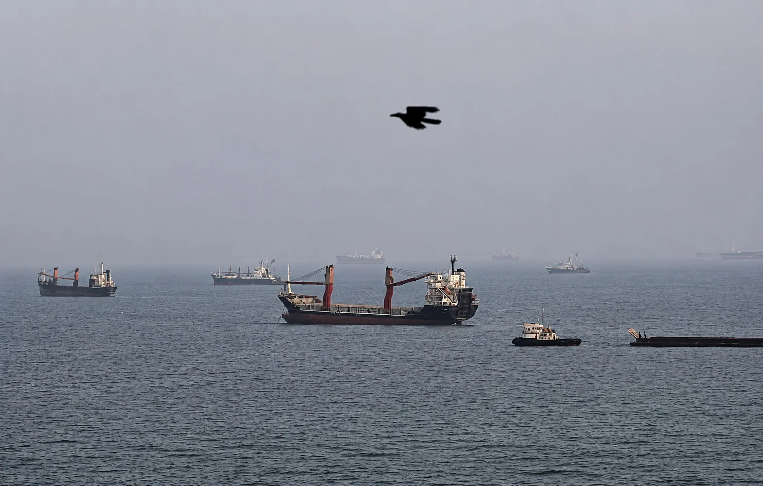 Eo biển Hormuz gần như tê liệt, nhưng dòng dầu vẫn âm thầm được duy trì