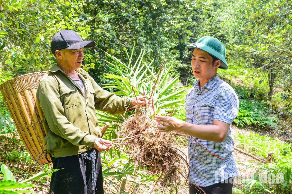 Đánh thức “kho vàng” trên đỉnh Pù Ngùa