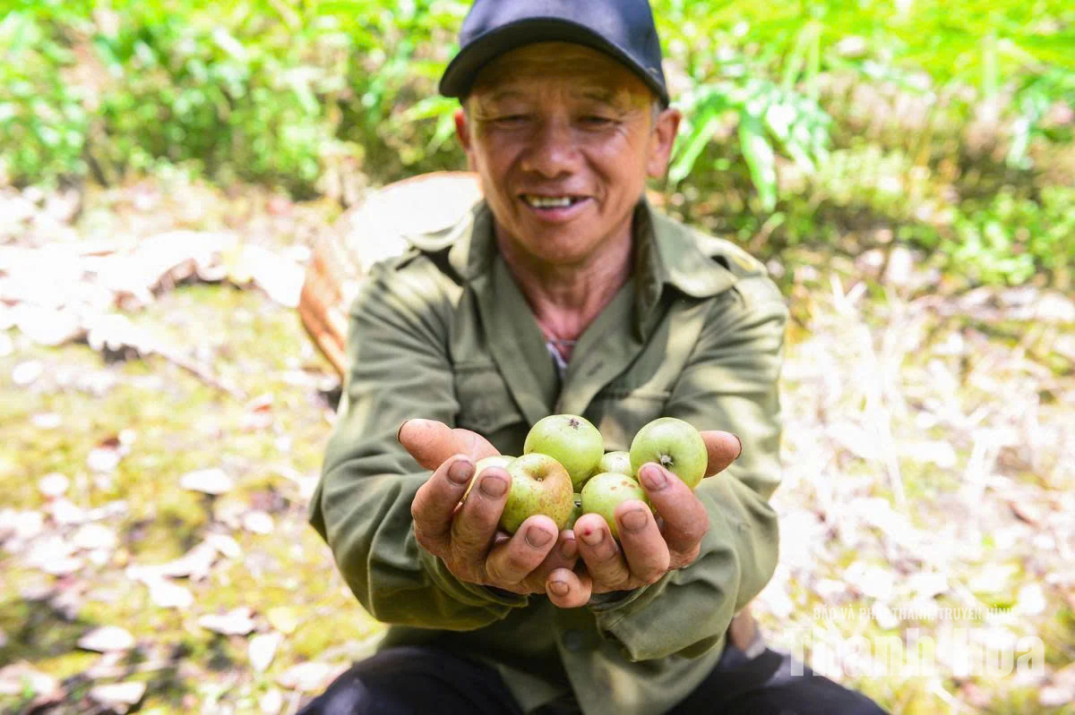 Đánh thức “kho vàng” trên đỉnh Pù Ngùa