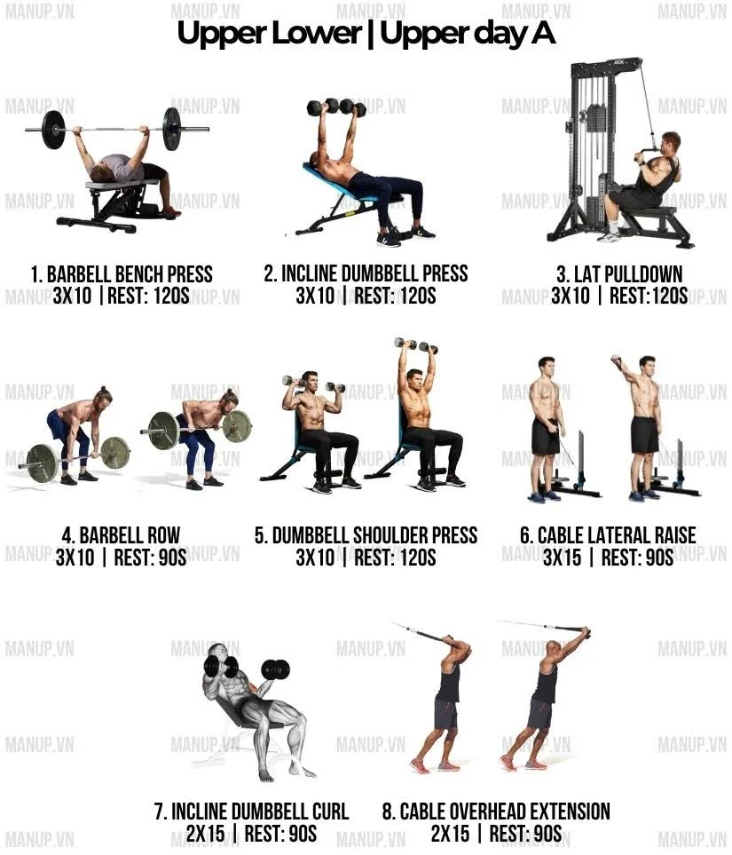 Lịch tập Upper Lower 4 buổi giúp tăng cơ cân đối cho người bận rộn