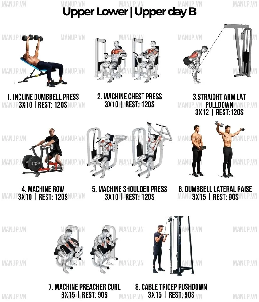 Lịch tập Upper Lower 4 buổi giúp tăng cơ cân đối cho người bận rộn
