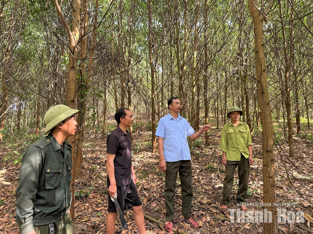 “Lá chắn” giữ vững an ninh rừng