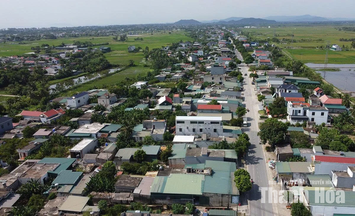 Những người giữ nhịp cộng đồng