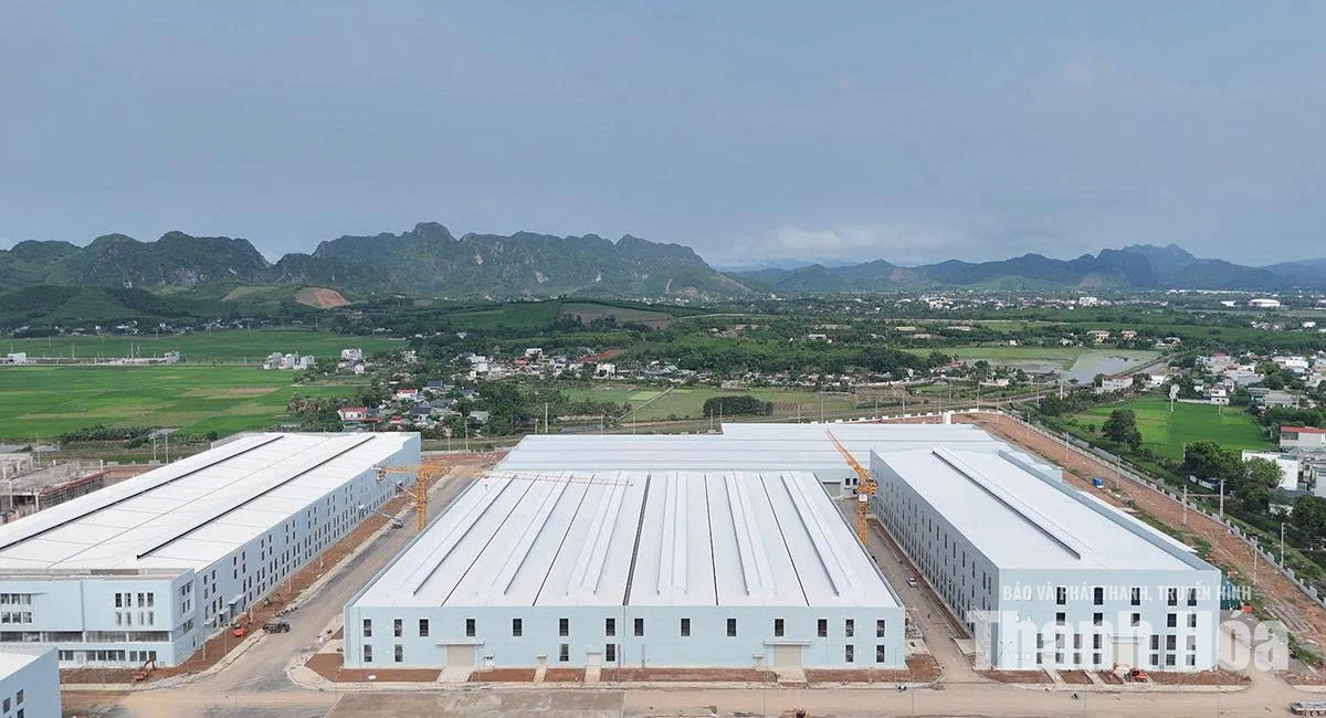 Tư duy mới, kỳ vọng mới