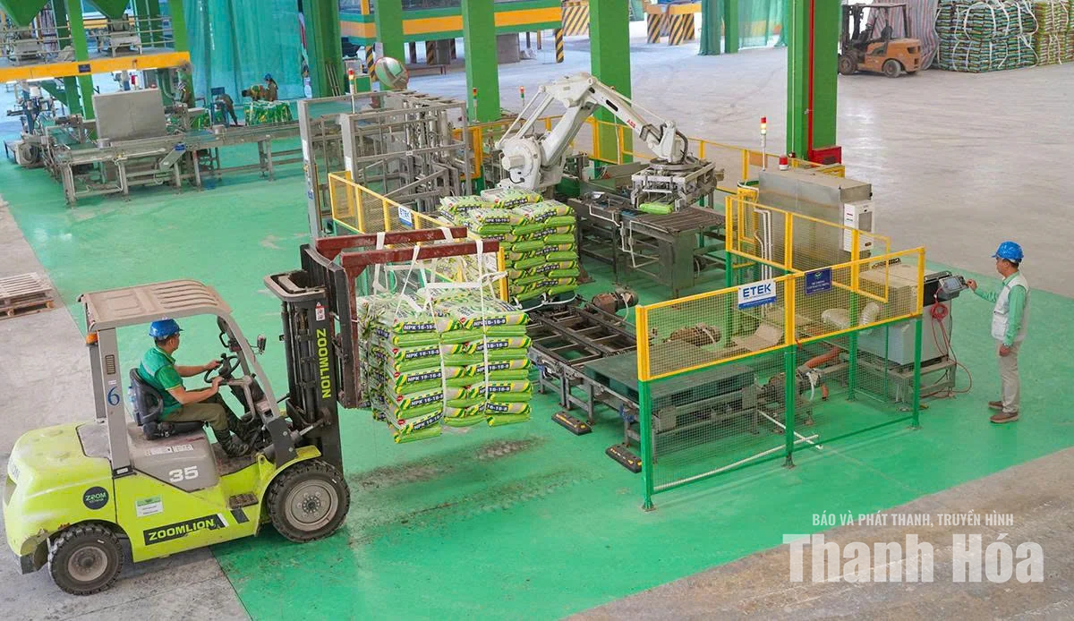Tư duy mới, kỳ vọng mới