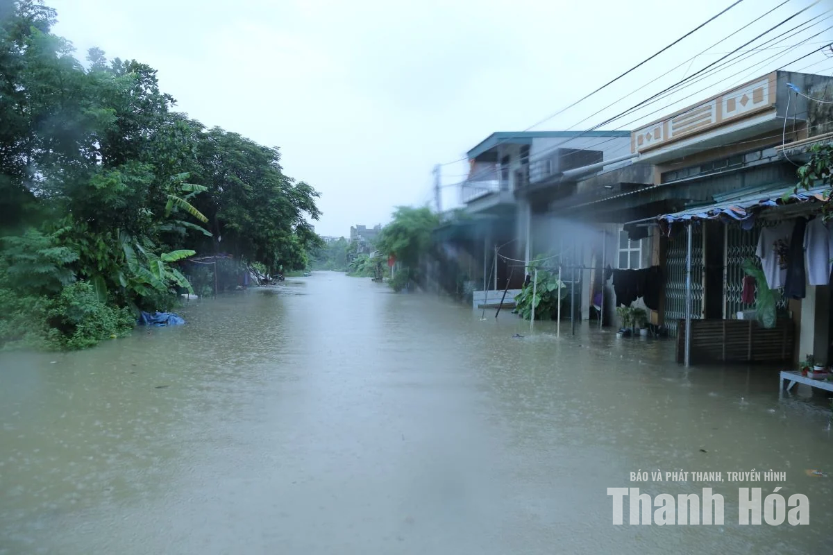 Kiểm tra công tác ứng phó với mưa bão trên địa bàn các phường Hạc Thành, Nguyệt Viên