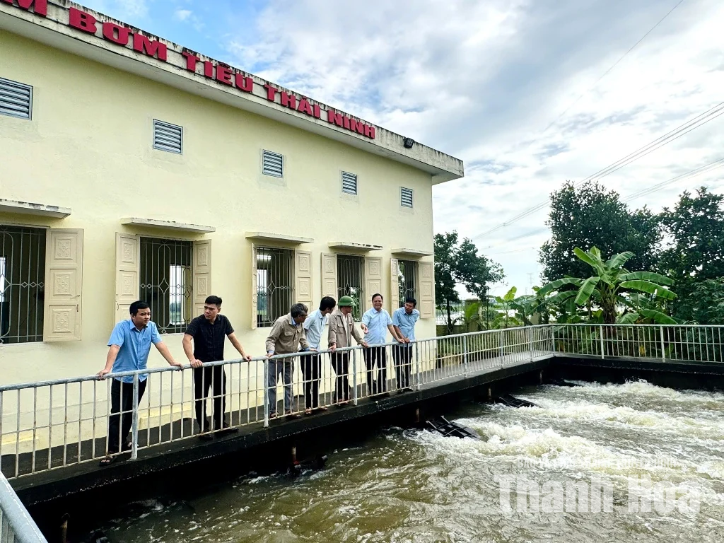 Chủ động tiêu úng, bảo vệ sản xuất&nbsp;