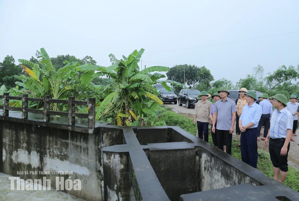 Chủ tịch UBND tỉnh Tô Anh Dũng kiểm tra công tác ứng phó với mưa bão tại một số địa phương