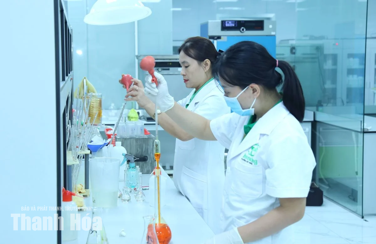Quản lý rủi ro, đồng hành cùng doanh nghiệp phát triển bền vững