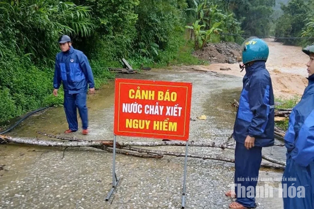 Thanh Hóa chủ động ứng phó áp thấp nhiệt đới có khả năng mạnh lên thành bão