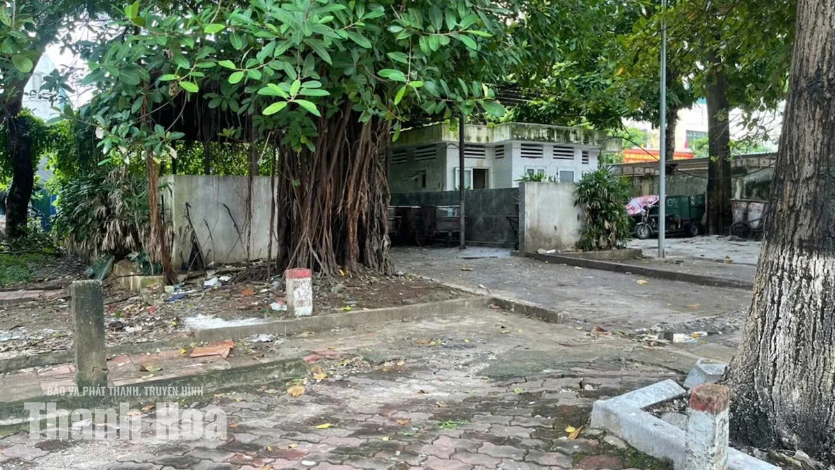 Trật tự, mỹ quan đô thị - Những “cái gai trong mắt”: Những “đống rác ý thức”