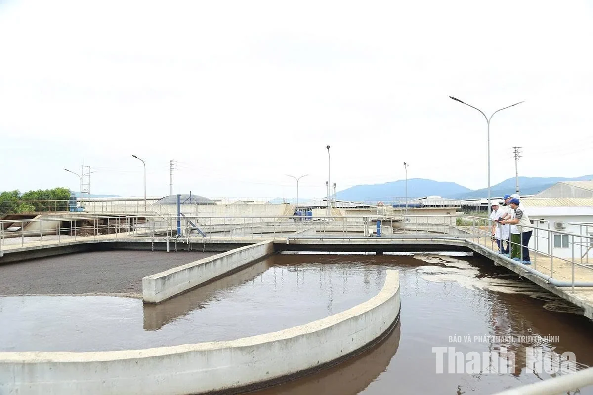 Thanh Hóa siết chặt quản lý, xử lý nghiêm vi phạm về môi trường