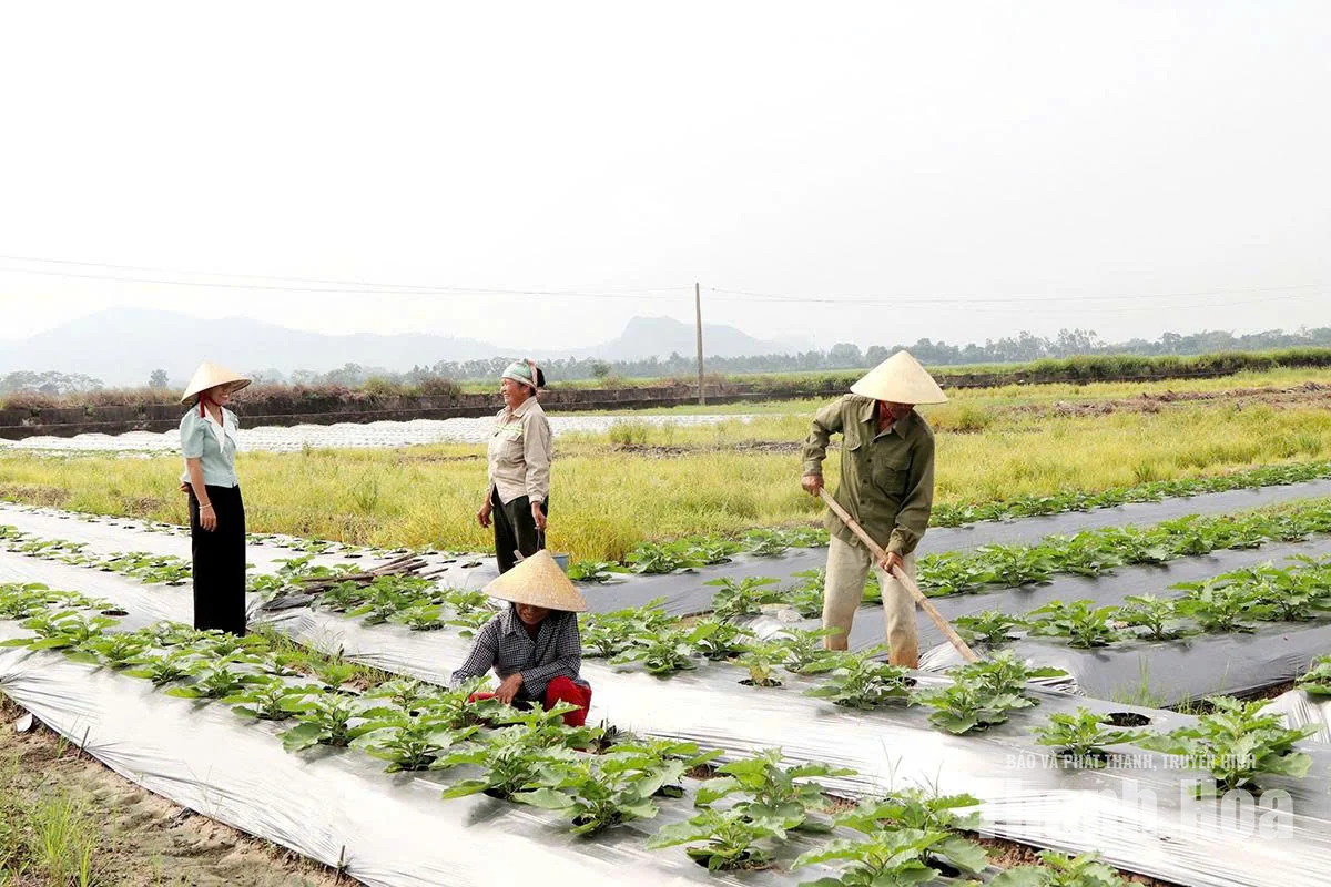 Lợi ích từ việc nâng cao&nbsp;trình độ cho cán bộ thôn