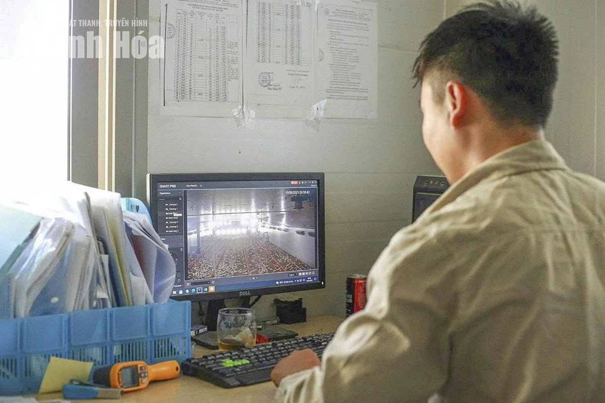 Ứng dụng AI nâng hiệu quả chăn nuôi