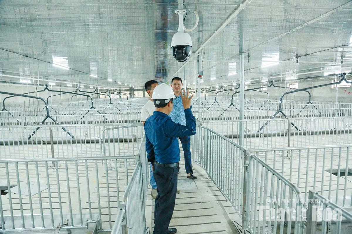 Ứng dụng AI nâng hiệu quả chăn nuôi