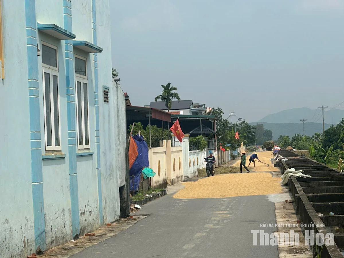 Phơi nông sản chiếm dụng lòng đường - hiểm họa tai nạn giao thông