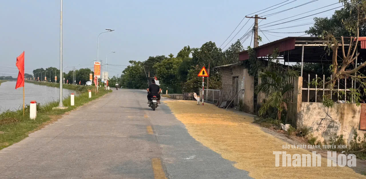 Phơi nông sản chiếm dụng lòng đường - hiểm họa tai nạn giao thông