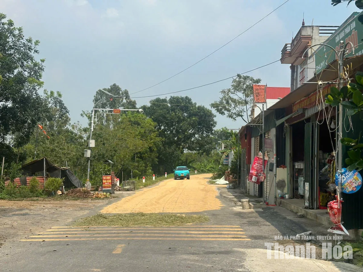 Phơi nông sản chiếm dụng lòng đường - hiểm họa tai nạn giao thông