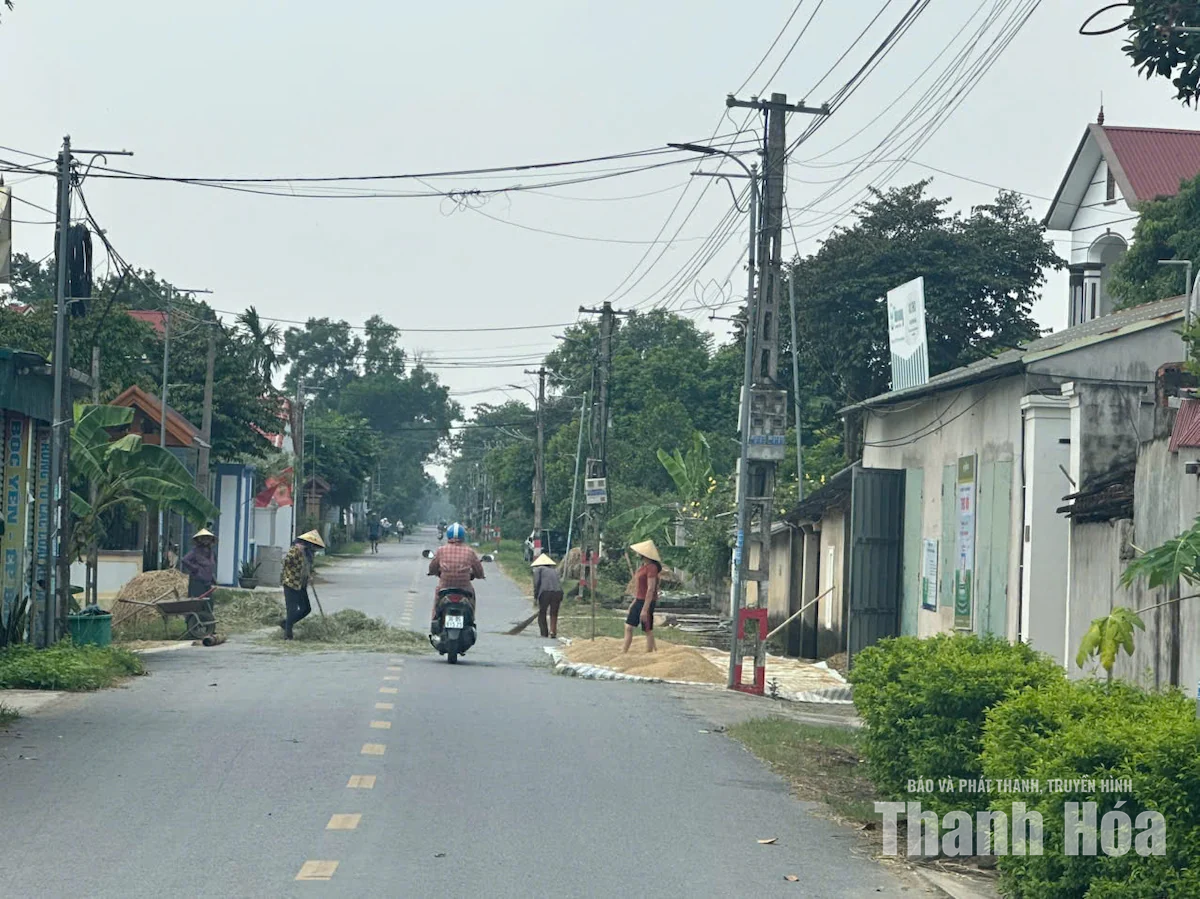Phơi nông sản chiếm dụng lòng đường - hiểm họa tai nạn giao thông