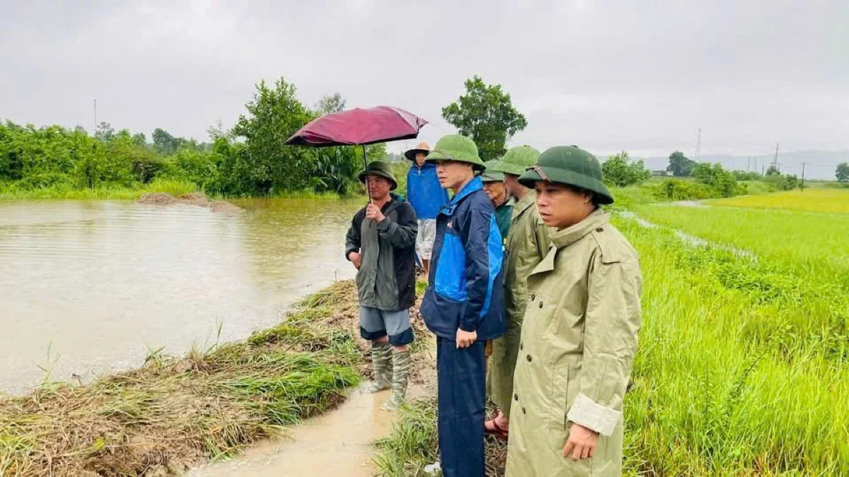 Xã Thắng Lợi: 261 ha lúa bị ngập trắng