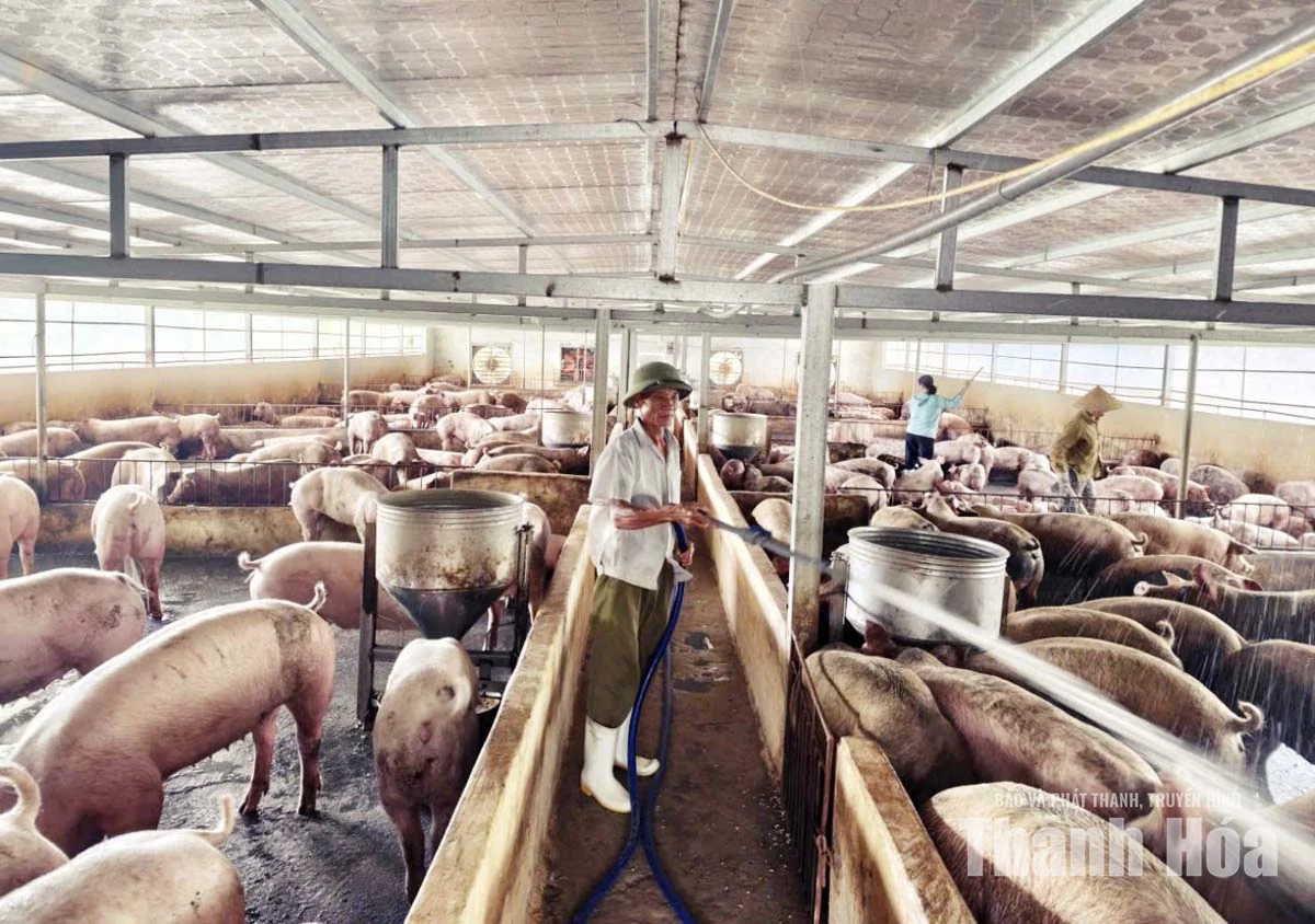 Người cao tuổi xã Lưu Vệ&nbsp;phát huy vai trò “Tuổi cao - gương sáng”