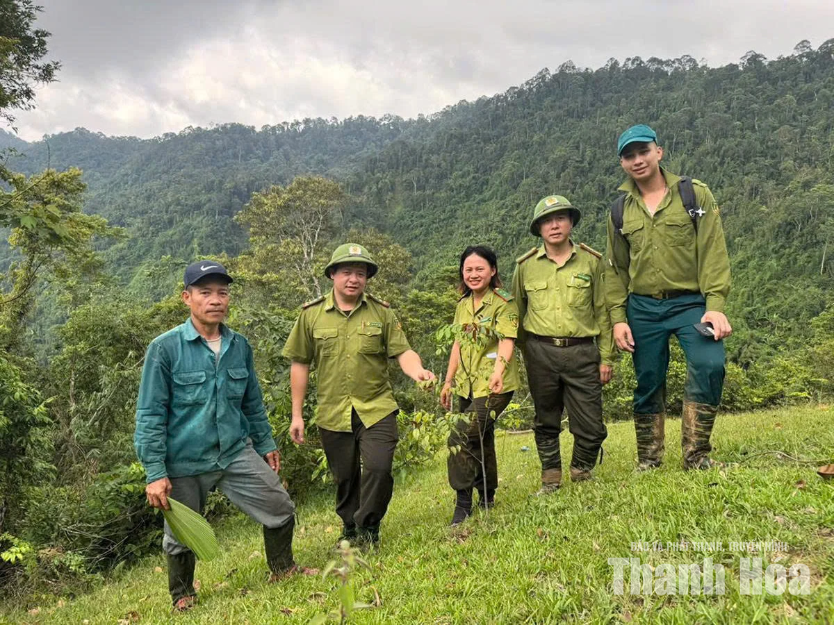 Hạt Kiểm lâm Thường Xuân tăng cường các giải pháp bảo vệ rừng