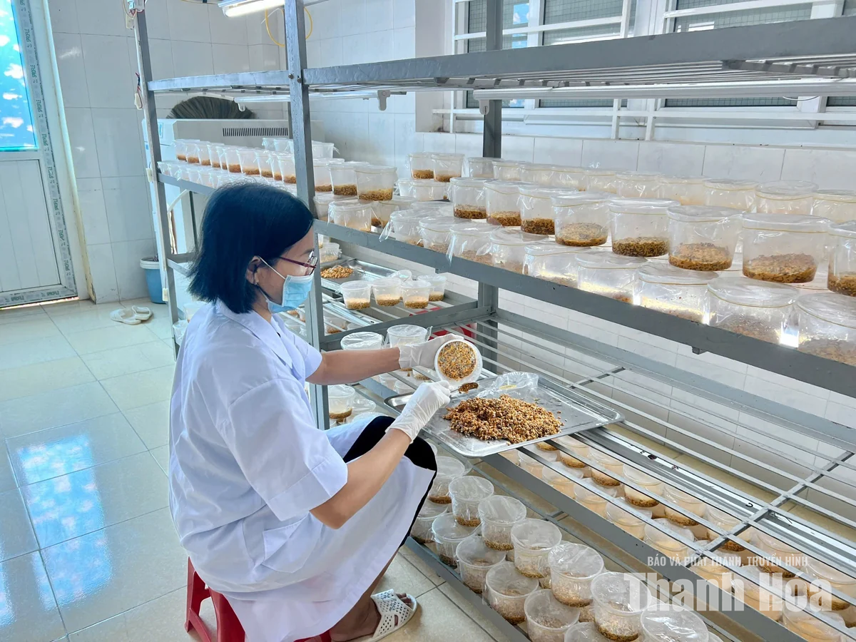 Đánh thức nguồn lực từ khoa học, công nghệ và đổi mới sáng tạo