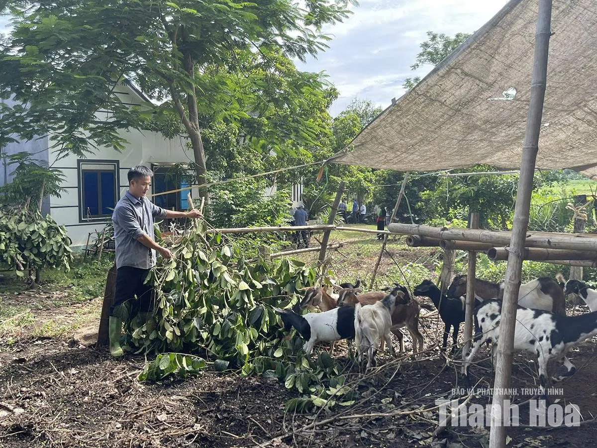 Thay đổi tư duy phát triển kinh tế&nbsp;vùng đồng bào dân tộc thiểu số