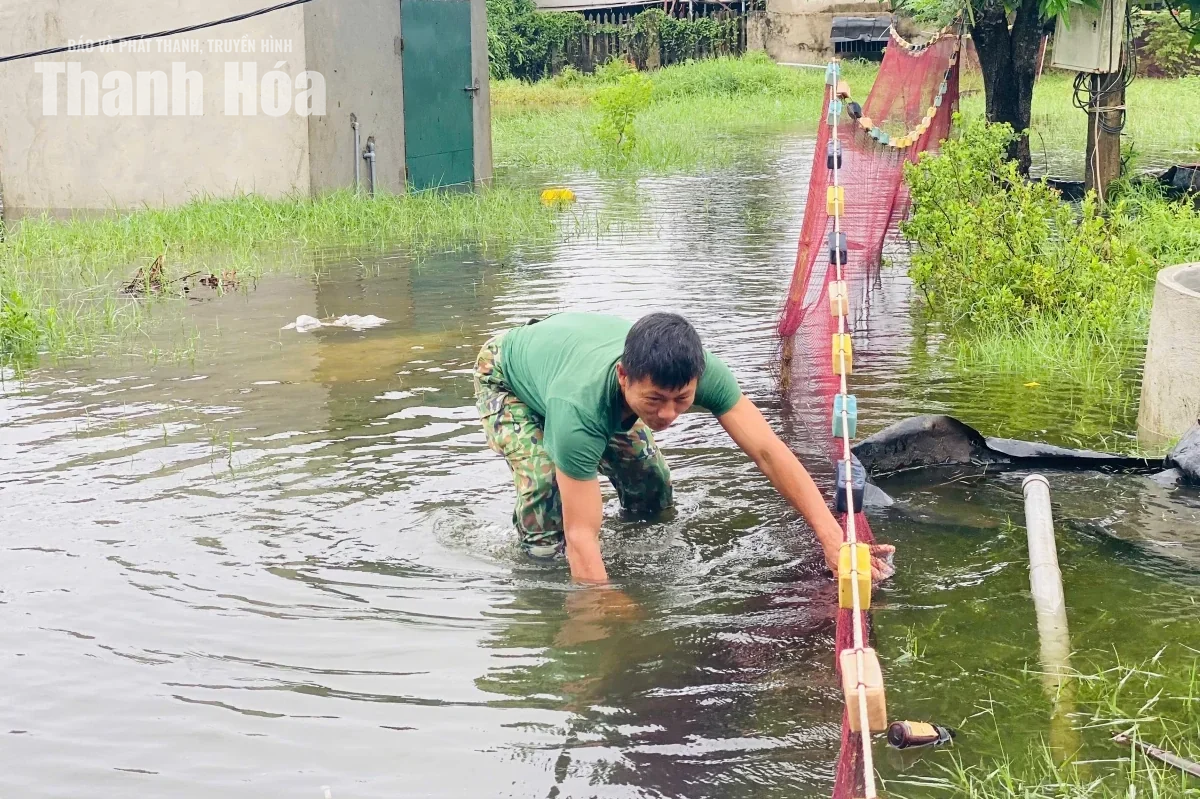 Các vùng nuôi trồng thủy sản chủ động ứng phó với mưa lớn
