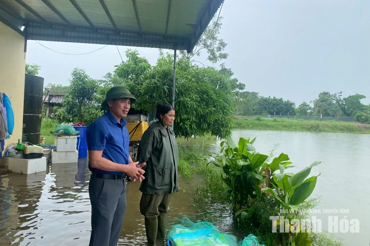 Các vùng nuôi trồng thủy sản chủ động ứng phó với mưa lớn