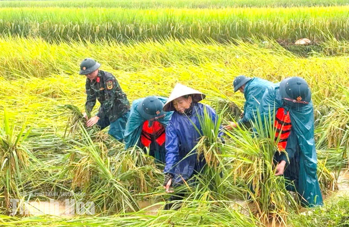 Huy động hơn 5.000 cán bộ, chiến sĩ tham gia hỗ trợ Nhân dân ứng phó, khắc phục hậu quả thiên tai